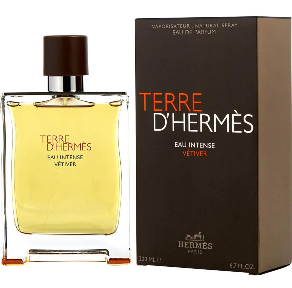 Terre D Hermes Eau Intense Vetiver