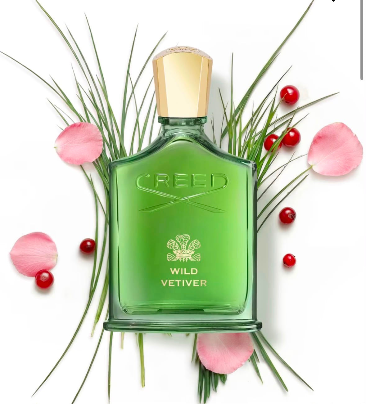 Creed Wild Vetiver 100ML